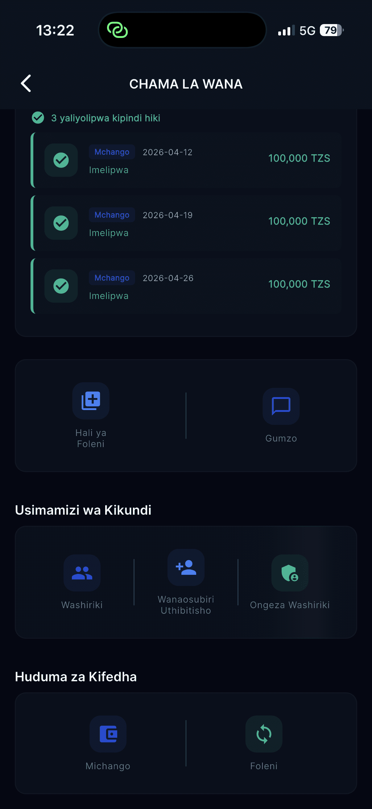 Vikoba app screen showing balances or activity overview