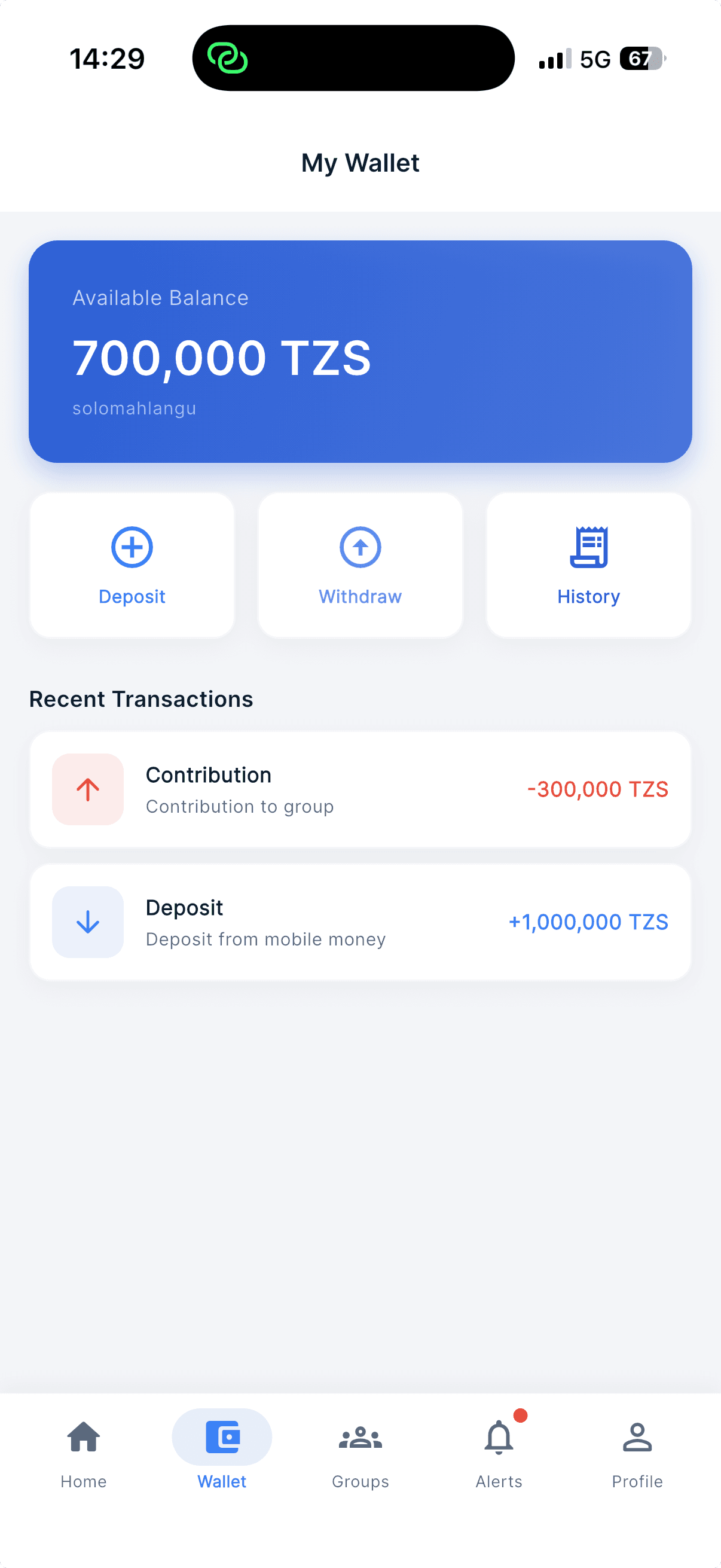 Vikoba interface in English